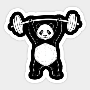 Panda Lifting Weights Gym Humor Workout Sticker